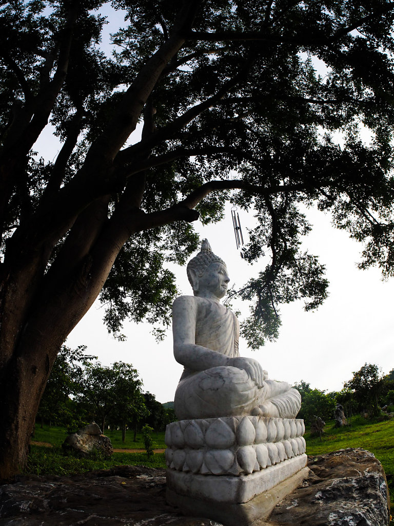 Thai Plum Village