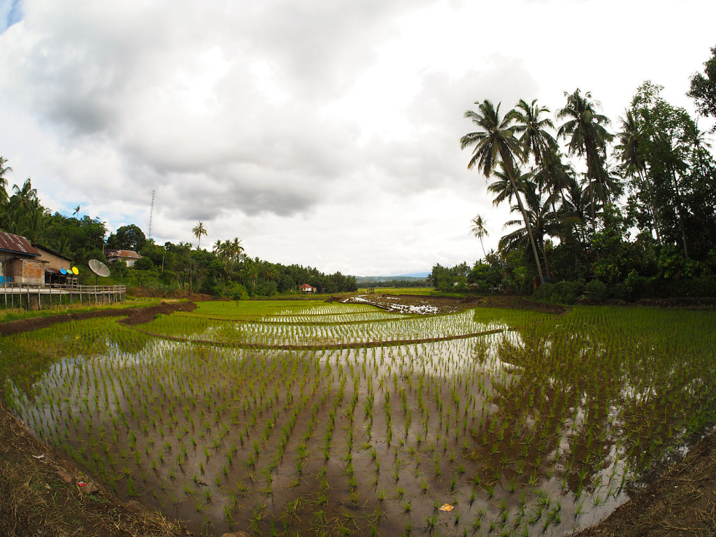 Lake Maninjau